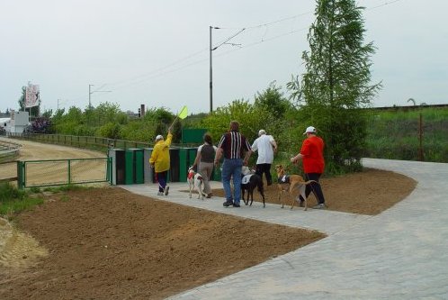 dostihova_draha_Praskacka_Czech_Greyhound_Racing_Federation_DSC05892-v.JPG