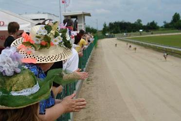 dostihova_draha_Praskacka_Czech_Greyhound_Racing_Federation_image042.jpg