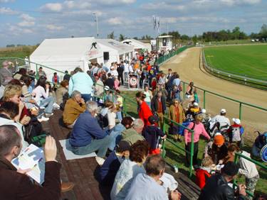 dostihova_draha_Praskacka_Czech_Greyhound_Racing_Federation_image060.jpg