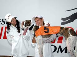 dostihova_draha_Praskacka_Czech_Greyhound_Racing_Federation_image066.jpg