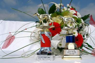 zlaty_chrt_dostihova_draha_Praskacka_Czech_Greyhound_Racing_Federation_2006.jpg