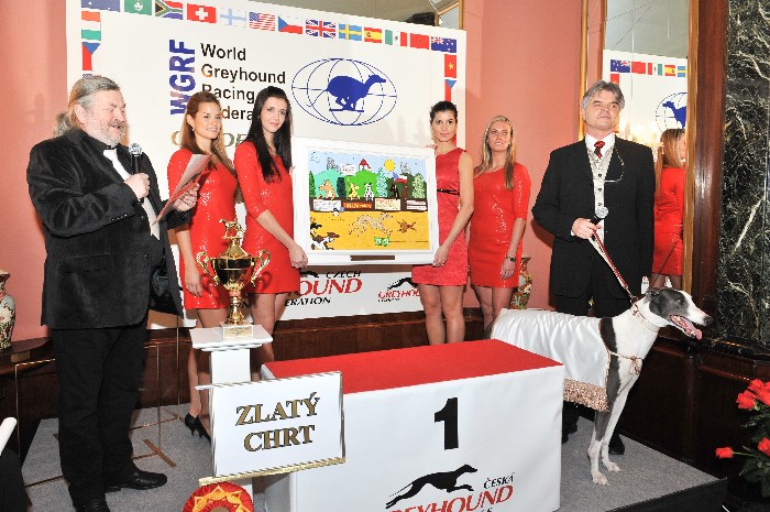 Greyhound_Cayenn_Elbony-Velmistr_Ringo_Czech_Greyhound_Racing_Federation_0260.jpg