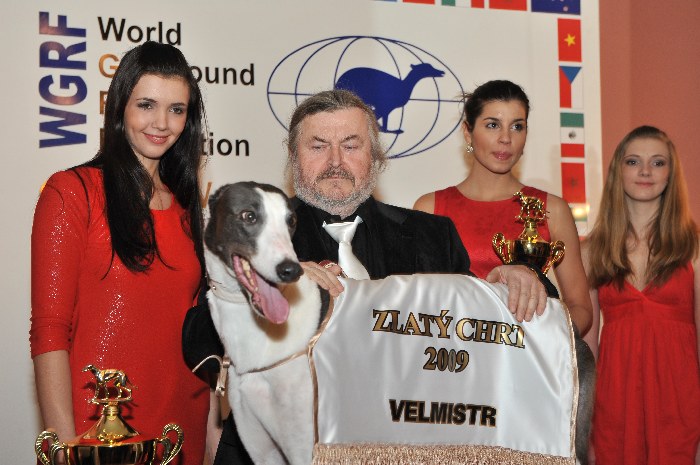 Zlatý chrt Golden Greyhound - Česká greyhound dostihová federace Greyhound_Cayenn_Velmistr_fs_0212.jpg