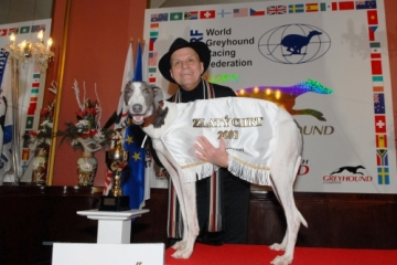 Zlatý chrt Golden Greyhound - Česká greyhound dostihová federace ZLATY_CHRT_VELMISTR_CAYENN_ELBONY_CGDF.jpg