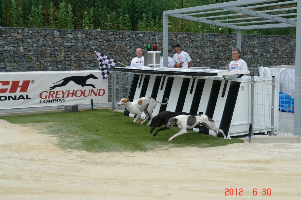 Greyhound_Park_Motol_Prague_Sport_Stadium_DSC08629.jpg