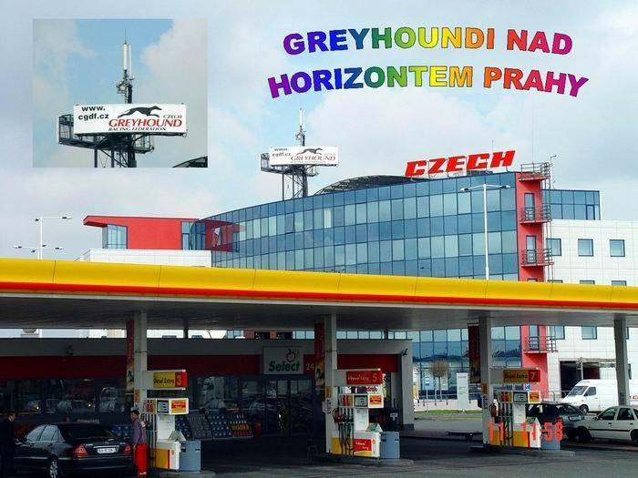 GREYHOUNDI_NAD_PRAHOU_Czech_Greyhound_Racing_Federation.jpg