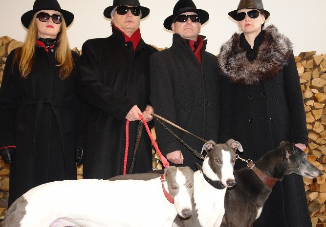 CGDF_greyhoundi.jpg