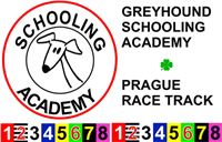 Chrti_zavodni_skola_Greyhound_Schooling_Academy_Praha_CGDF.jpg