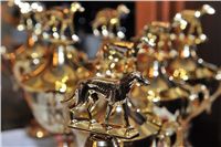 Chrti_Oscari_Greyhound_Oscars_Czech_Greyhound_Racing_Federation.jpg