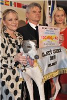 Golden_Greyhound_2010_Awards__336-v.jpg