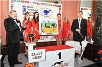 Greyhound_Cayenn_Elbony-Velmistr_Ringo_Czech_Greyhound_Racing_Federation_0260.jpg