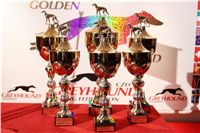 Zlaty_chrt_2010_Golden_greyhound_cups_img_8372-jpg.jpg