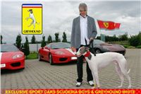 ferrari_greyhound_CZID10_DSC09061-r.jpg