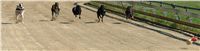 Leger_2010_DSC09850.JPG