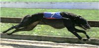 Leger_2010_NQ1M8463.JPG