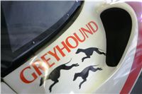 Greyhound Star Moto Racing - Ferrari #8 - Česká greyhound dostihová federace