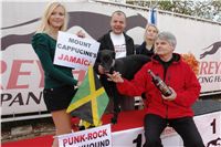 halloween-punk-rock-greyhound-race-czech-greyhound-racing-federation-DSC01894.JPG