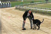 halloween-punk-rock-greyhound-race-czech-greyhound-racing-federation-NQ1M9476.JPG