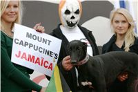 halloween-punk-rock-greyhound-race-czech-greyhound-racing-federation-NQ1M9551.JPG