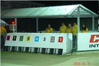 Prague_Night_Greyhound_Race_Greyhound_Park_Motol_CGDF_DSC02100.JPG