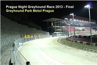 Prague_Night_Greyhound_Race_Greyhound_Park_Motol_CGDF_IMG_5428.JPG