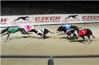 Prague_Night_Greyhound_Race_Greyhound_Park_Motol_CGDF_IMG_5444_u.JPG