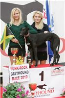 halloween-punk-rock-greyhound-race-czech-greyhound-racing-federation-NQ1M9601.JPG