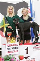 halloween-punk-rock-greyhound-race-czech-greyhound-racing-federation-NQ1M9605.JPG