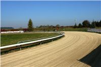 chrti_trenink_23-10-2010_ceska_greyhound_dostihova_federace_DSC02305.JPG