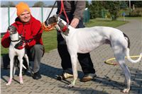 chrti_trenink_23-10-2010_ceska_greyhound_dostihova_federace_DSC02318.JPG