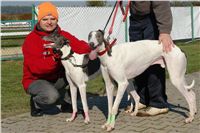 chrti_trenink_23-10-2010_ceska_greyhound_dostihova_federace_DSC02320.JPG