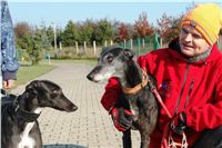 chrti_trenink_23-10-2010_ceska_greyhound_dostihova_federace_DSC02358.JPG