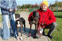 chrti_trenink_23-10-2010_ceska_greyhound_dostihova_federace_DSC02363.JPG