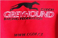 chrti_trenink_23-10-2010_ceska_greyhound_dostihova_federace_DSC02395.JPG