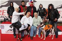 halloween-punk-rock-greyhound-race-czech-greyhound-racing-federation-DSC01766-u-v.jpg
