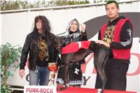 halloween-punk-rock-greyhound-race-czech-greyhound-racing-federation-DSC01806.JPG