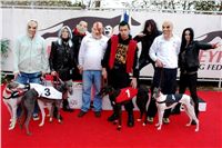 halloween-punk-rock-greyhound-race-czech-greyhound-racing-federation-DSC01822.JPG