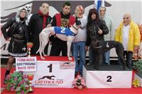 halloween-punk-rock-greyhound-race-czech-greyhound-racing-federation-DSC01840.JPG