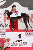 halloween-punk-rock-greyhound-race-czech-greyhound-racing-federation-NQ1M9121.JPG