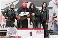 halloween-punk-rock-greyhound-race-czech-greyhound-racing-federation-NQ1M9131.JPG