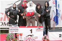 halloween-punk-rock-greyhound-race-czech-greyhound-racing-federation-NQ1M9151.JPG