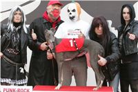 halloween-punk-rock-greyhound-race-czech-greyhound-racing-federation-NQ1M9155.JPG