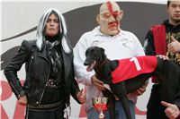 halloween-punk-rock-greyhound-race-czech-greyhound-racing-federation-NQ1M9161.JPG