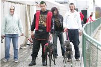 halloween-punk-rock-greyhound-race-czech-greyhound-racing-federation-NQ1M9164.JPG
