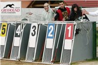 halloween-punk-rock-greyhound-race-czech-greyhound-racing-federation-NQ1M9171.JPG