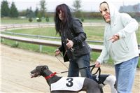 halloween-punk-rock-greyhound-race-czech-greyhound-racing-federation-NQ1M9216.JPG