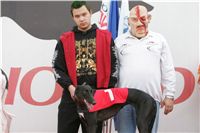 halloween-punk-rock-greyhound-race-czech-greyhound-racing-federation-NQ1M9231.JPG