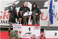 halloween-punk-rock-greyhound-race-czech-greyhound-racing-federation-NQ1M9257.JPG