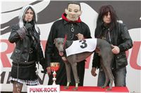 halloween-punk-rock-greyhound-race-czech-greyhound-racing-federation-NQ1M9258.JPG