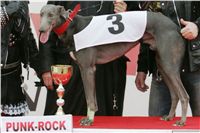 halloween-punk-rock-greyhound-race-czech-greyhound-racing-federation-NQ1M9262.JPG
